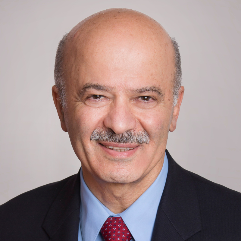 Reza Moridi