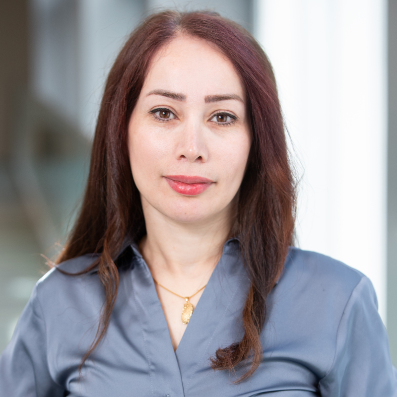 Shahnaz Babaei Abraki