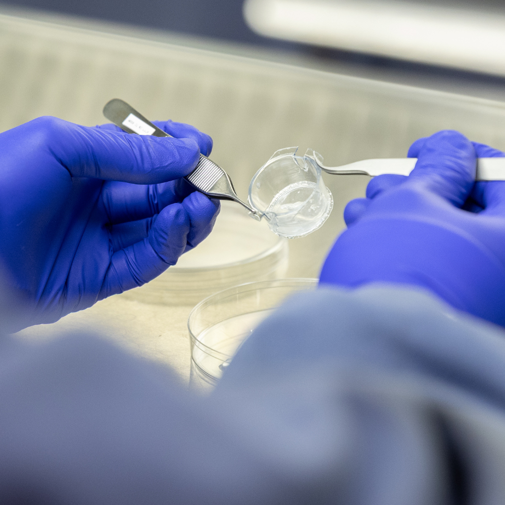 Biotech Impact
