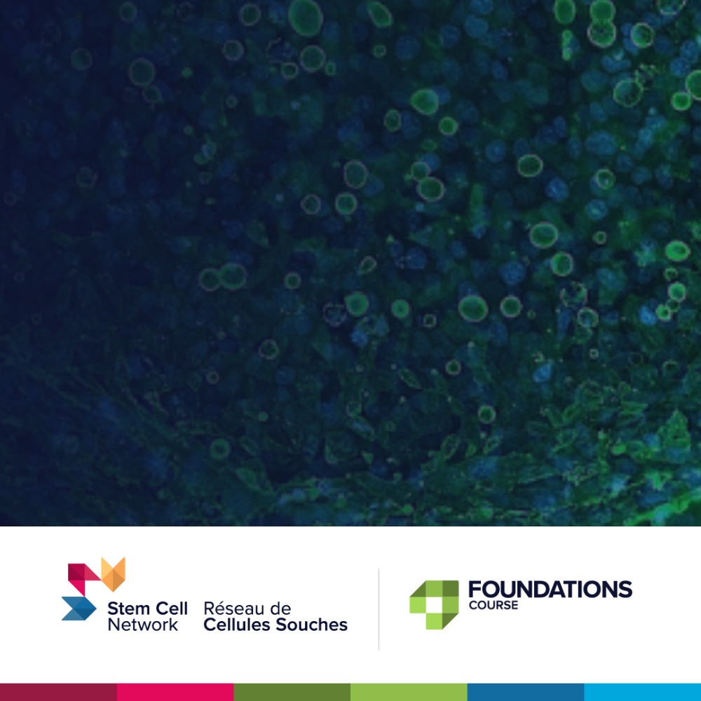 Foundations Course