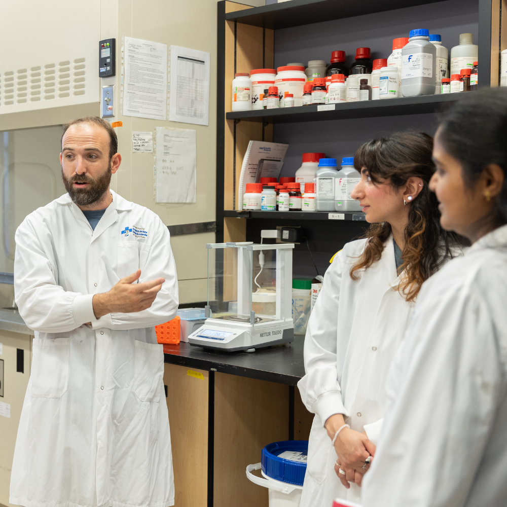 2026 Summer Studentships