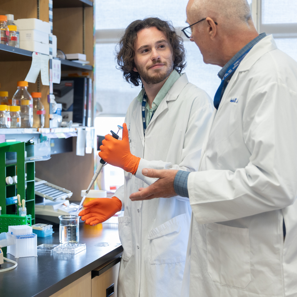 Professional Development for Trainees, HQP, and Principal Investigators